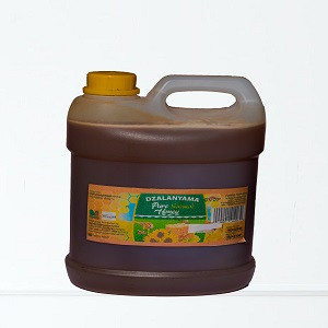 Dzalanyama Pure Honey